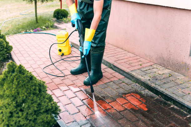 Best Pressure Washing Siding  in Unionville, TN